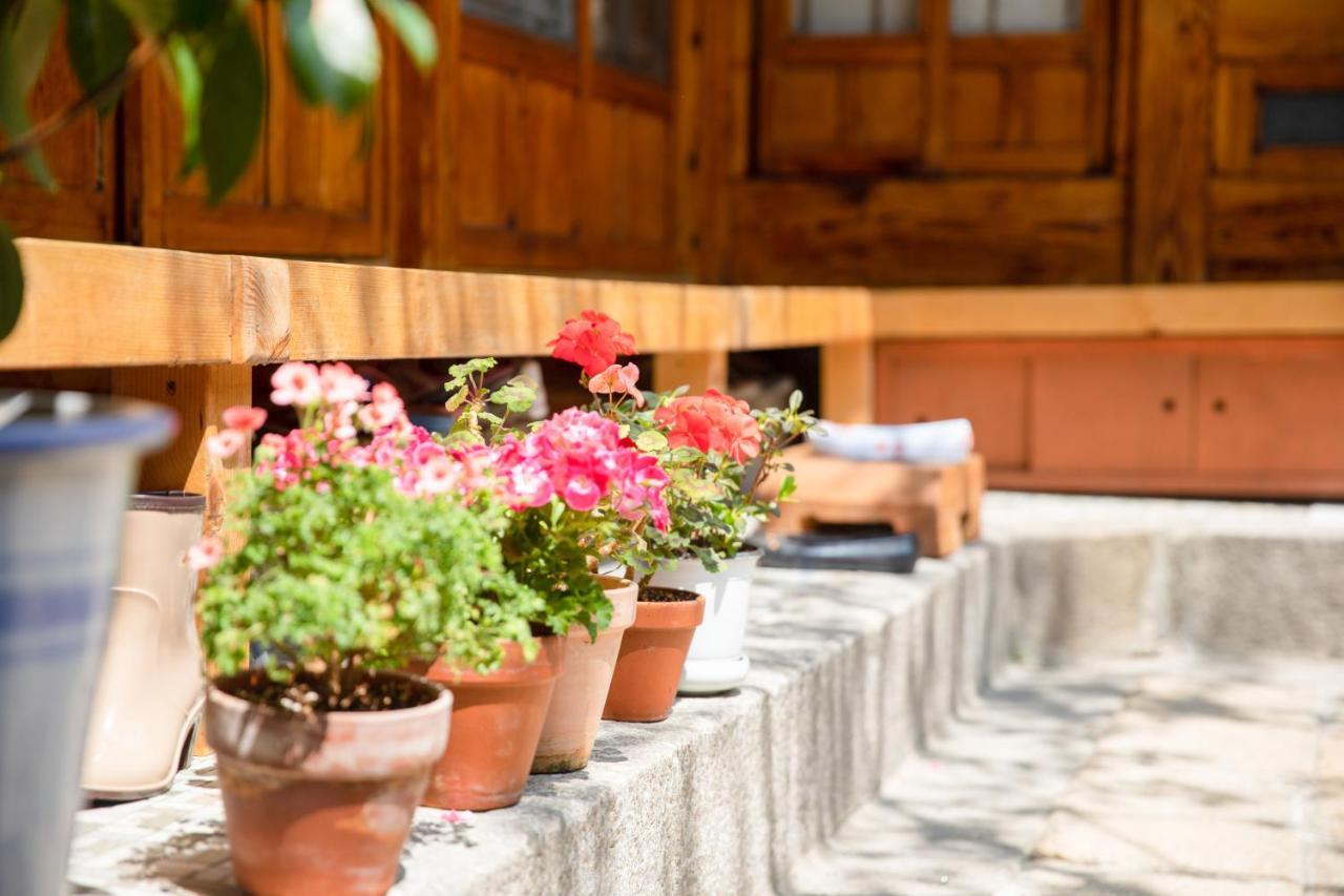 Dongmyo Hanok Sihwadang - Private Korean Style House In The City Center With A Beautiful Garden Seoul Luaran gambar